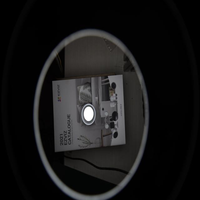 Dataset Image