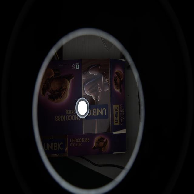 Dataset Image