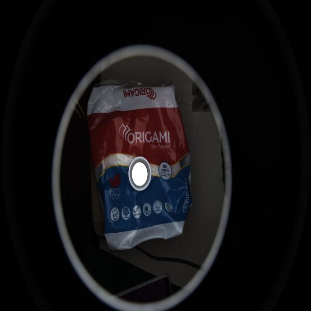 Dataset Image