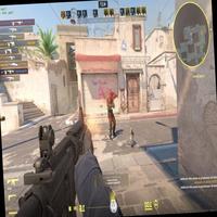Dataset Image