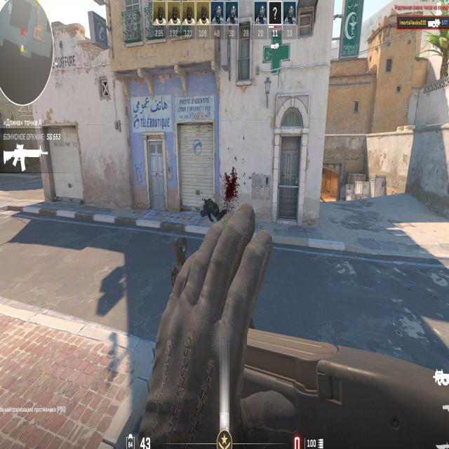 Dataset Image