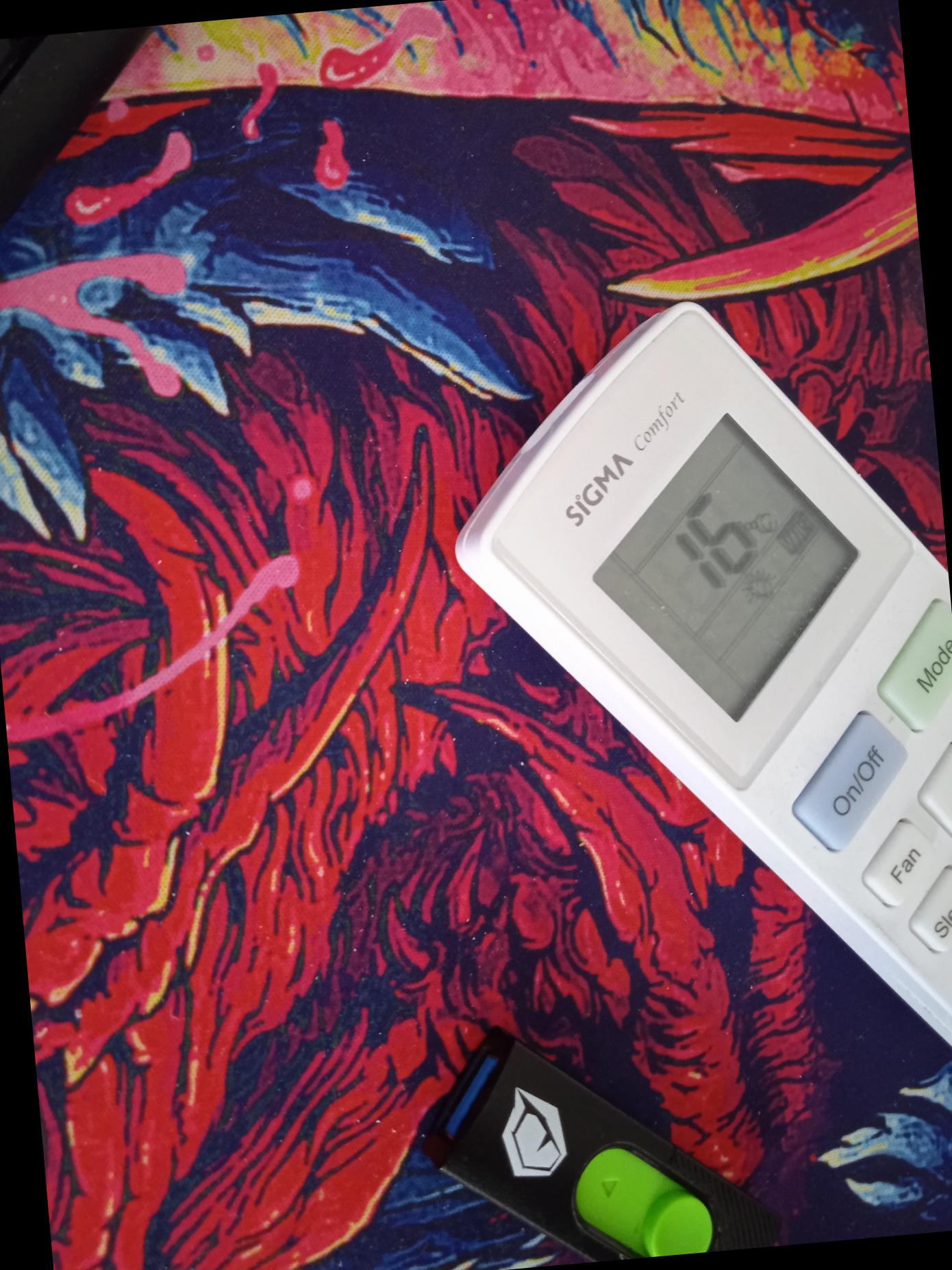 Dataset Image