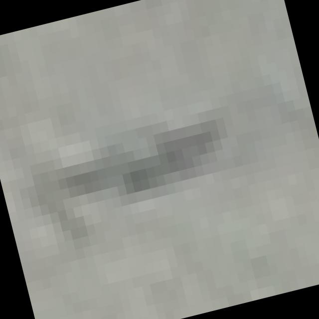 Dataset Image