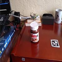 Dataset Image
