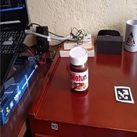 Dataset Image