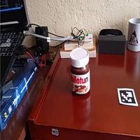 Dataset Image