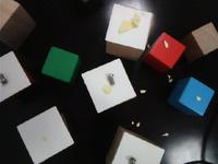 Dataset Image