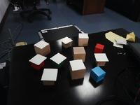 Dataset Image