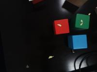 Dataset Image
