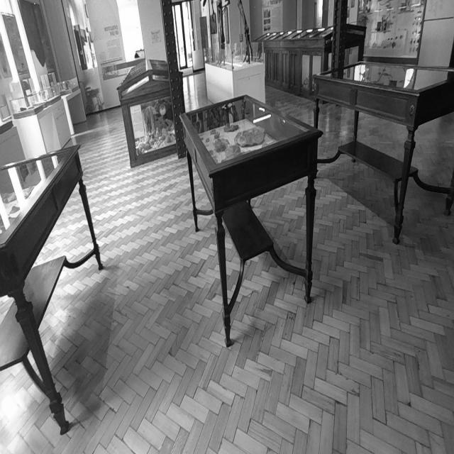 Dataset Image