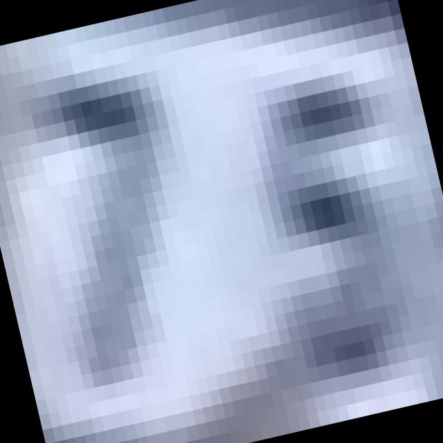 Dataset Image