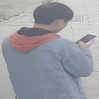 Dataset Image