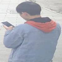 Dataset Image