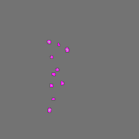 Annotation Visualization