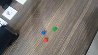 Dataset Image