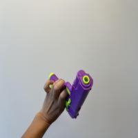 Dataset Image
