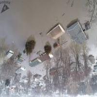 Dataset Image