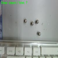 Dataset Image