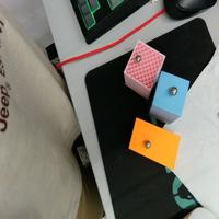 Dataset Image