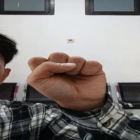 Dataset Image