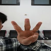 Dataset Image