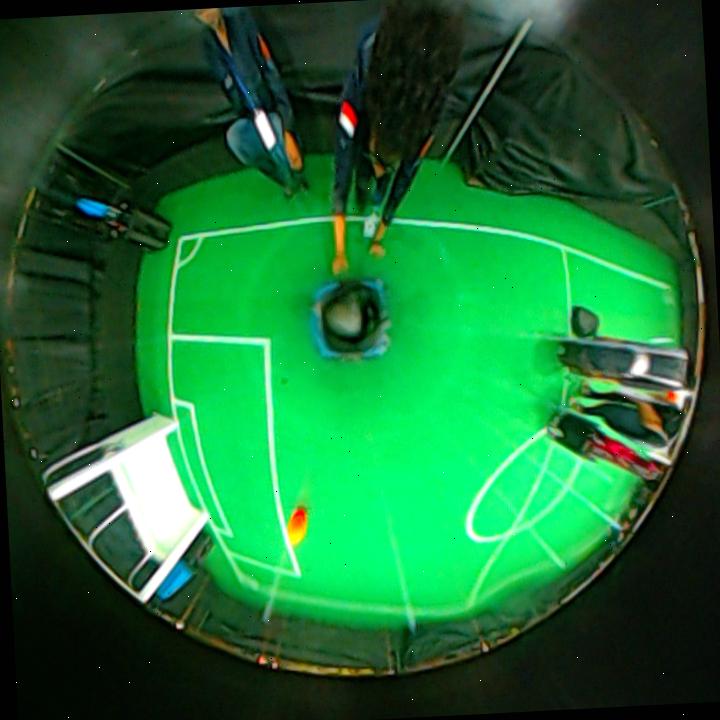 Dataset Image
