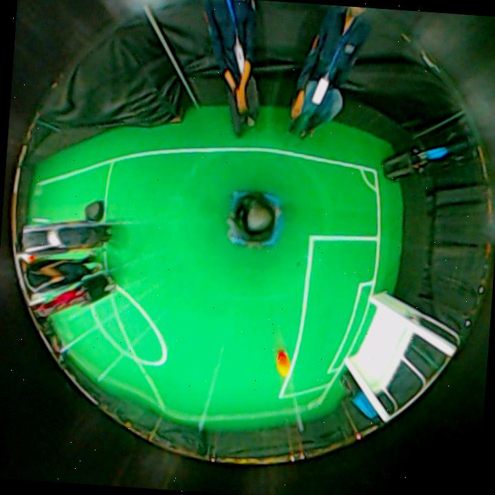 Dataset Image