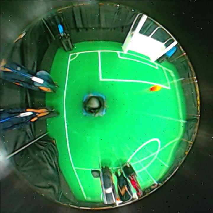 Dataset Image