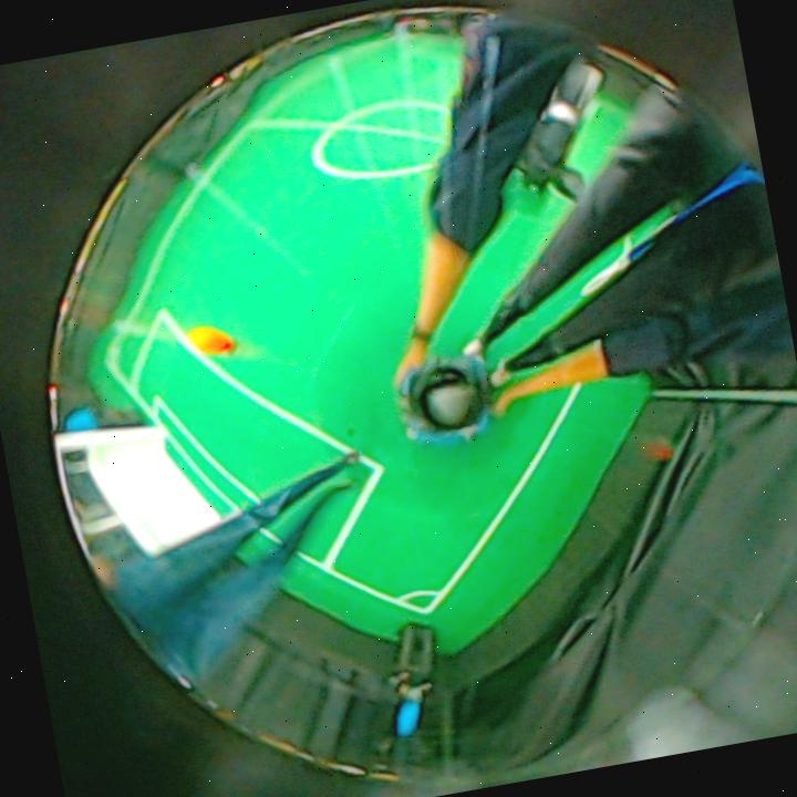 Dataset Image
