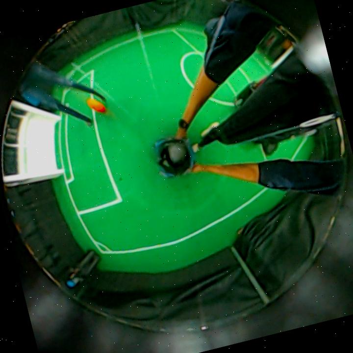 Dataset Image