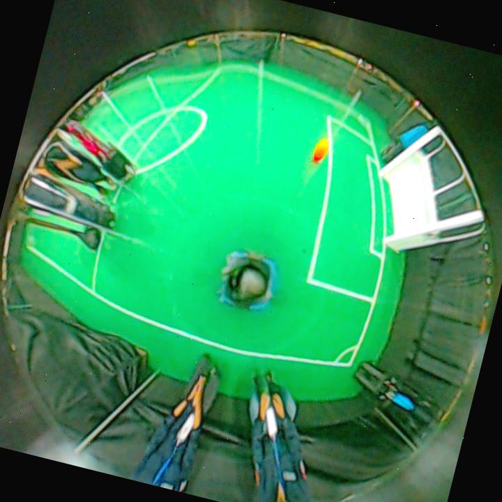 Dataset Image