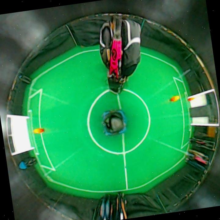 Dataset Image