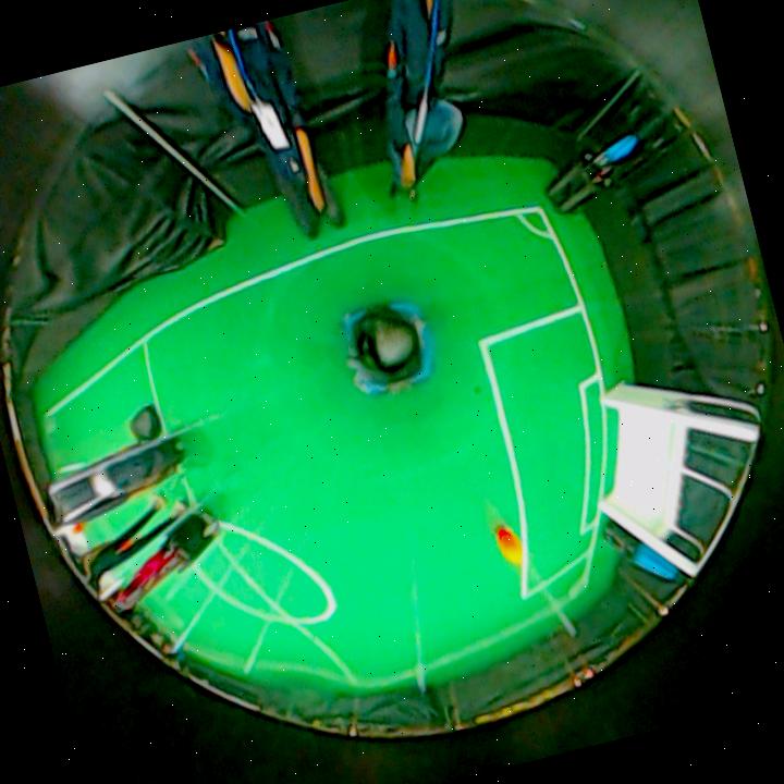 Dataset Image