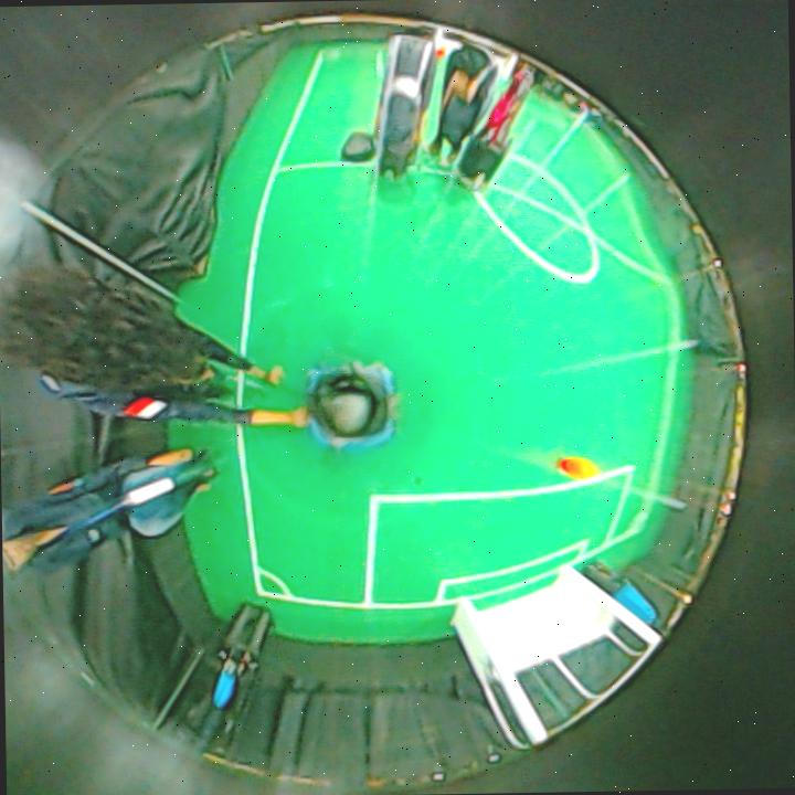 Dataset Image