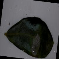 Dataset Image