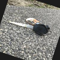 Dataset Image