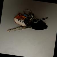 Dataset Image