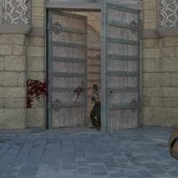 Dataset Image