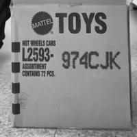 Dataset Image