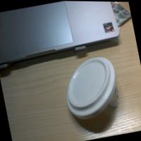 Dataset Image