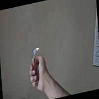 Dataset Image
