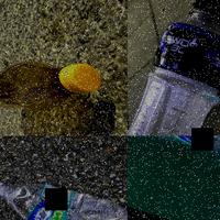 Dataset Image