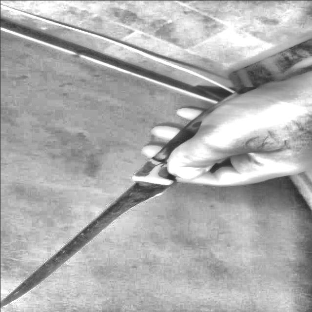 Dataset Image