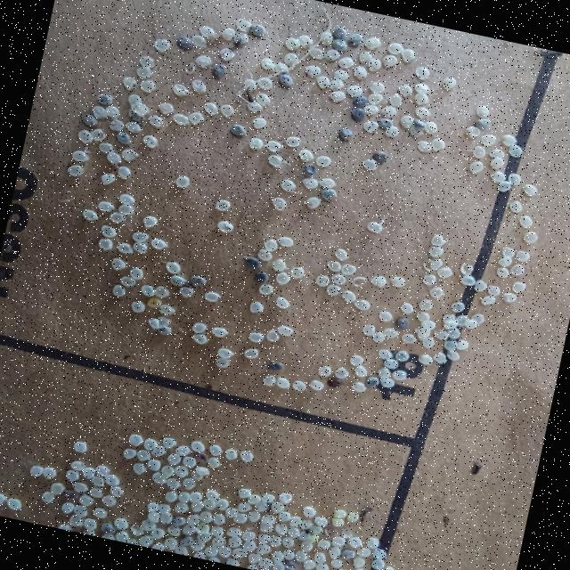 Dataset Image