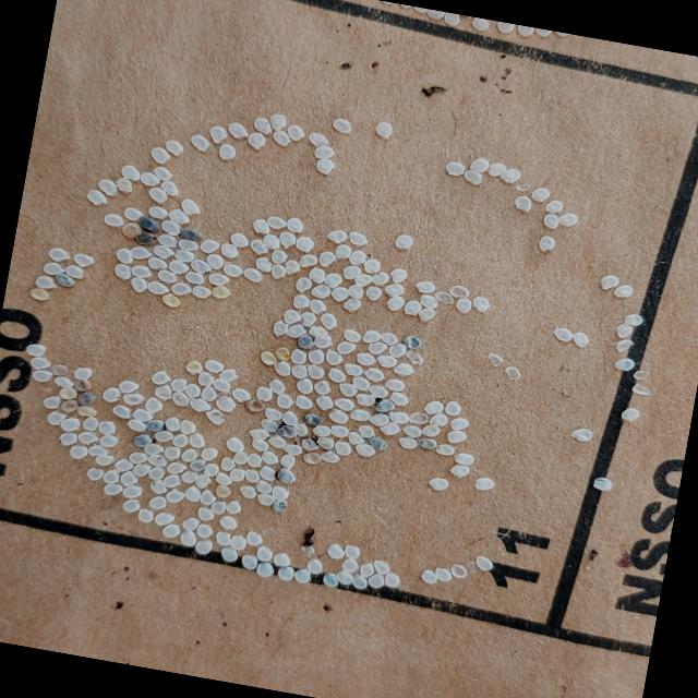 Dataset Image