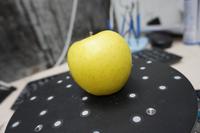 Dataset Image