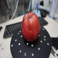 Dataset Image