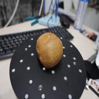 Dataset Image