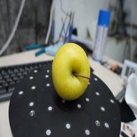 Dataset Image