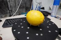 Dataset Image